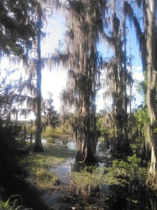 20140316 Download 413