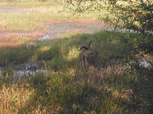 20140316 Download 418