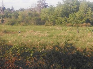 20140316 Download 419