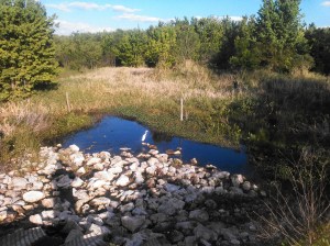 20140316 Download 423