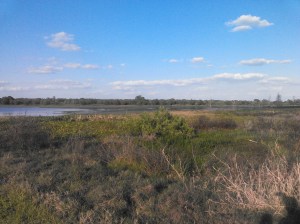 20140316 Download 430