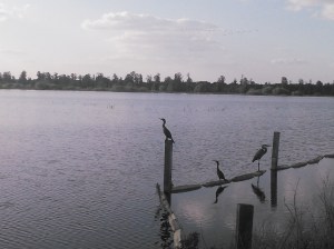 20140316 Download 433