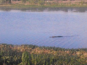 20140316 Download 439