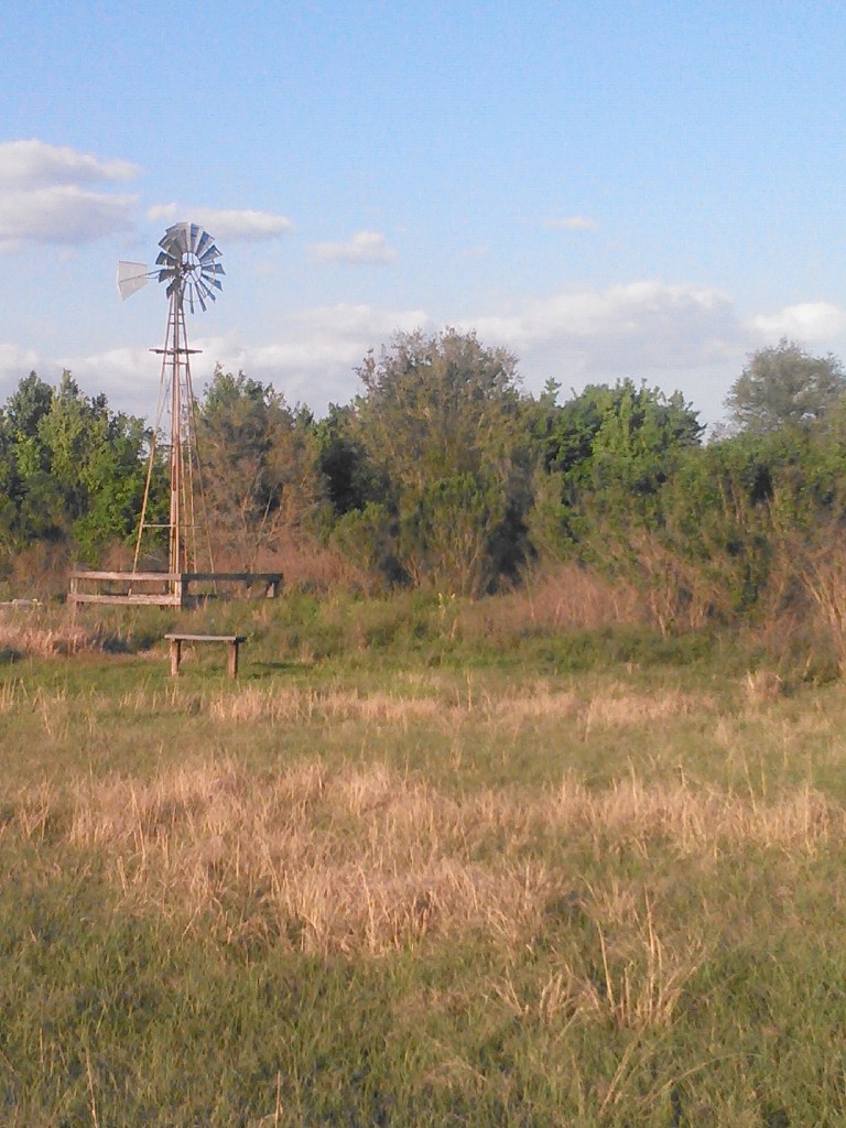 20140316 Download 446