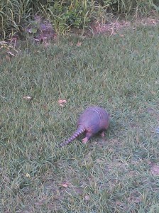 20140316 Download 458