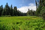 Sequoia Kings Canyon-879