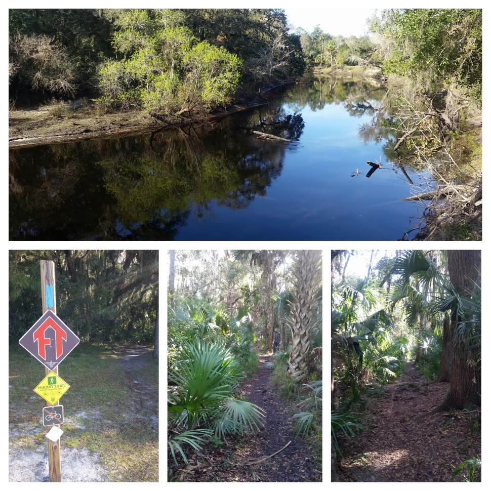 Photo_2015-01-31_12-54-31_PM