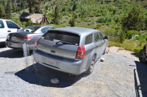 Sequoia Kings Canyon-310