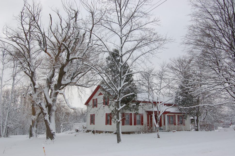 New Years Snow Storm (8)