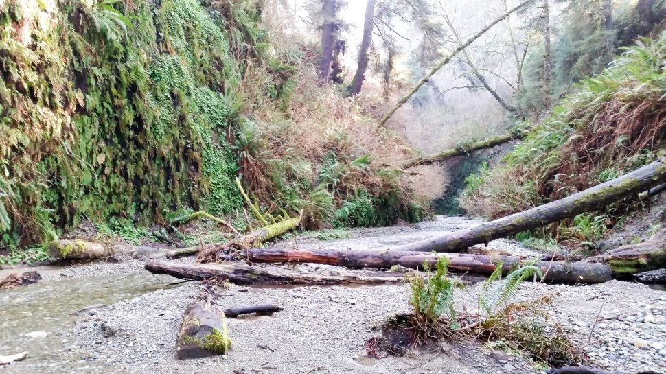 Prairie Creek 5S-140