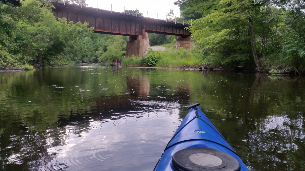 Island Laske Canoe Camp-73