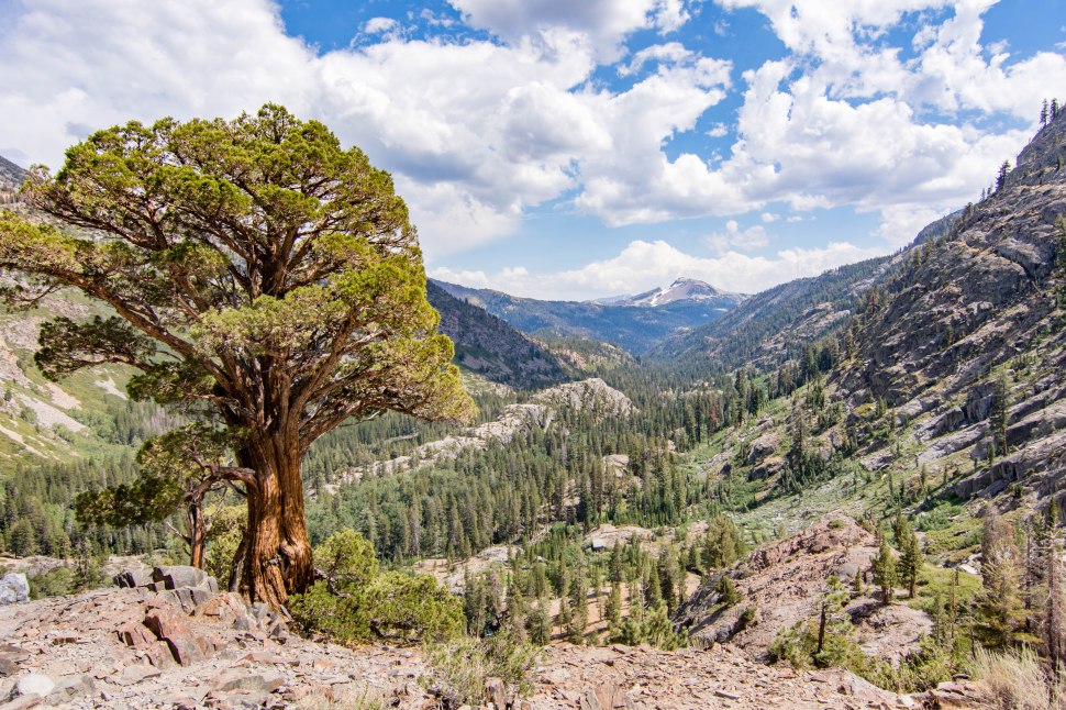 Shadow Lake & Trail (147 of 147).jpg