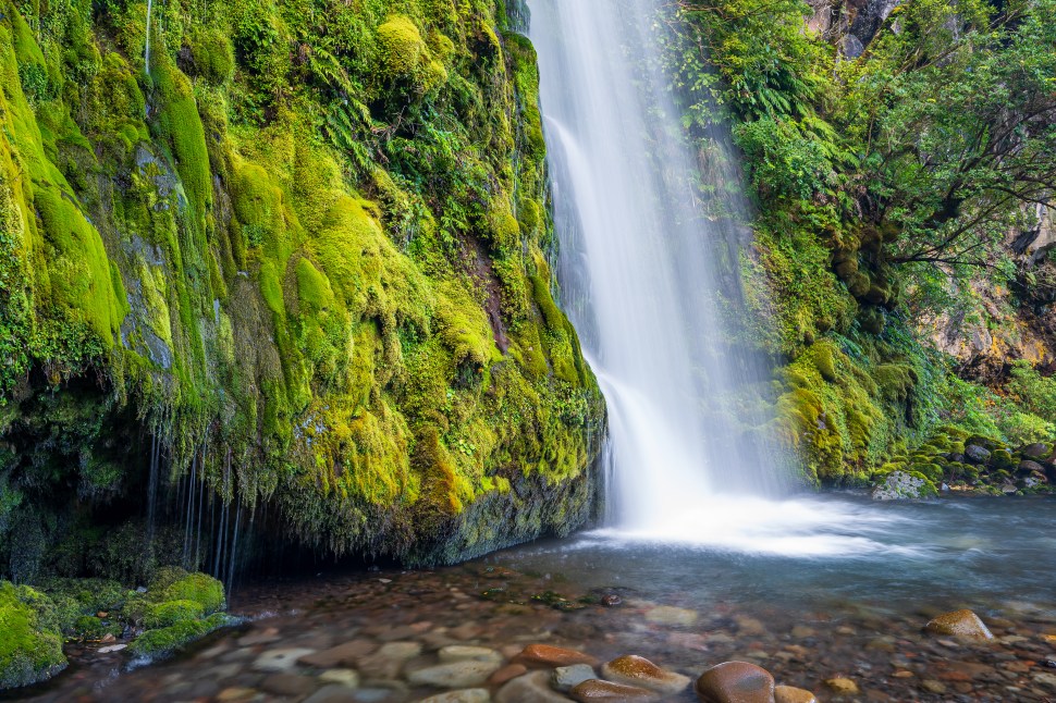 A serene waterfall cascading over a moss-covered rock face into a tranquil stream, surrounded by lush greenery.
