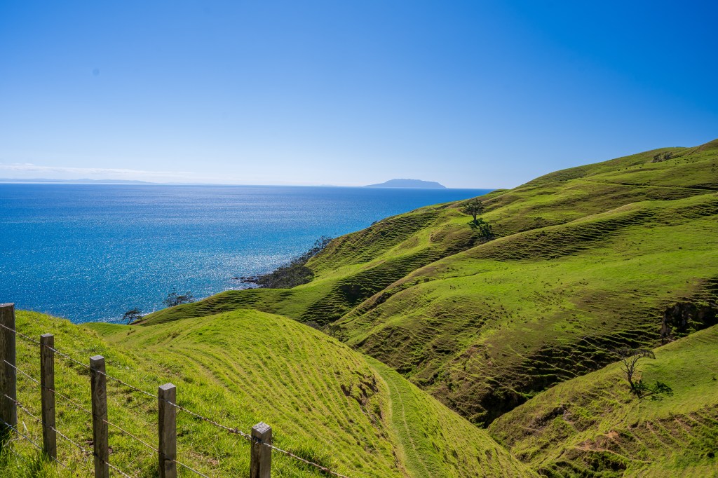 A panoramic view of lush green hills sloping down to a tranquil blue sea under a clear sky.